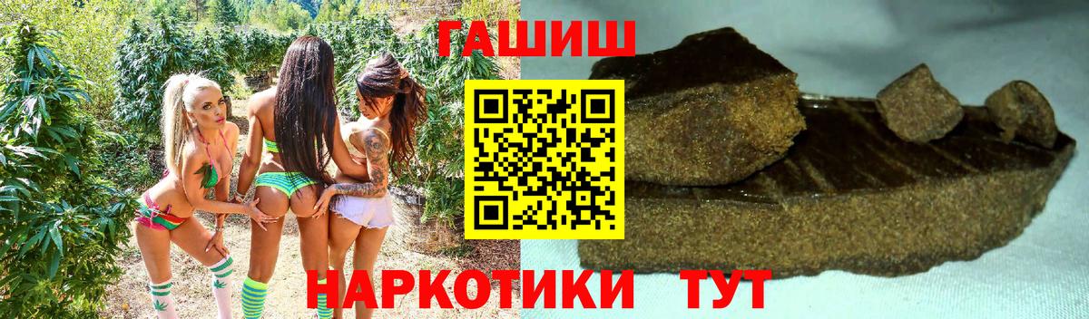 ГАШ Premium Назрань