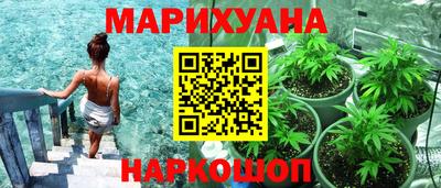 дмт Гай