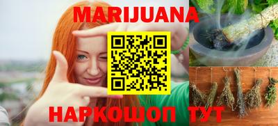 дмт Гай