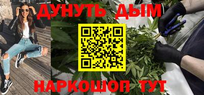 дмт Гай