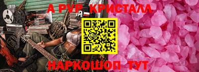 дмт Гай