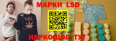 дмт Гай