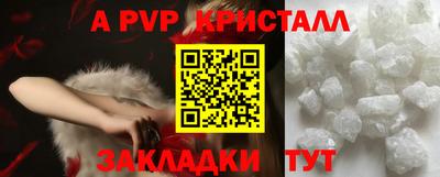 дмт Гай