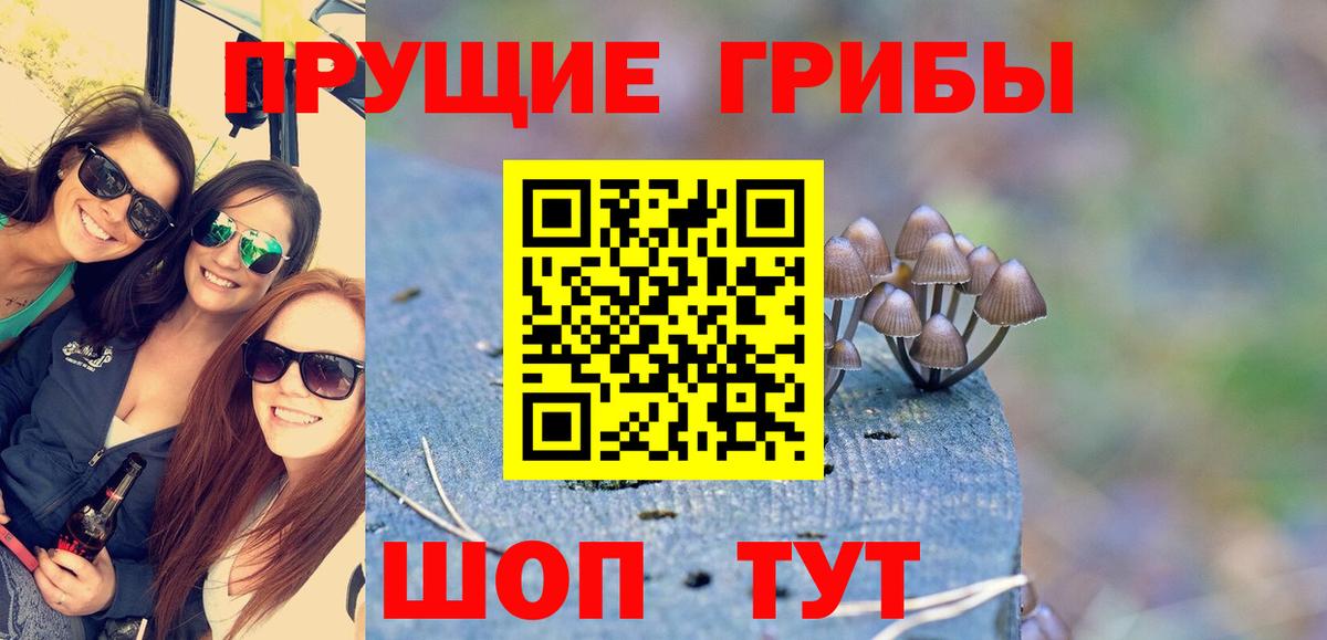 Псилоцибиновые грибы Psilocybine cubensis Назрань
