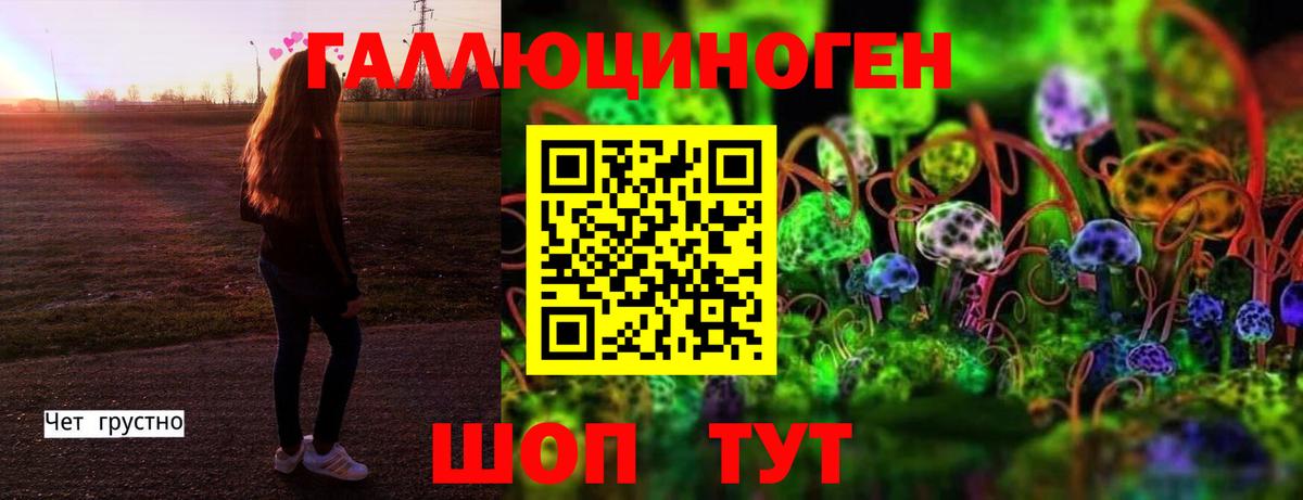 Галлюциногенные грибы прущие грибы  Вход с VPN  Галлюциногенные грибы Magic Shrooms  Назрань 